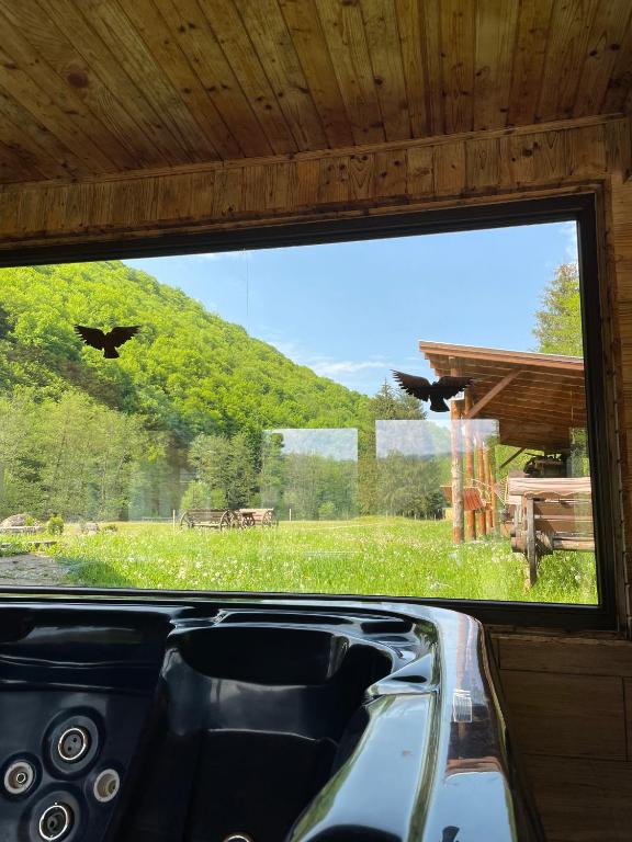 Peisaj natural din apropierea acestei case de vacanță