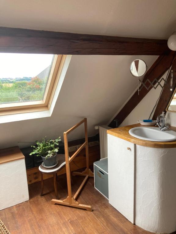 uma casa de banho com um lavatório e uma janela em Une chambre dans la verdure em Bordeaux-Saint-Clair