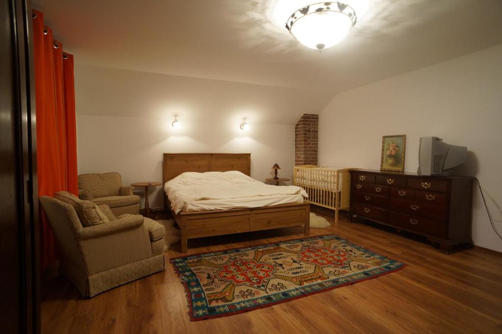 a bedroom with a bed and a couch and a chair at Casa Paltinu in Lunca Mare