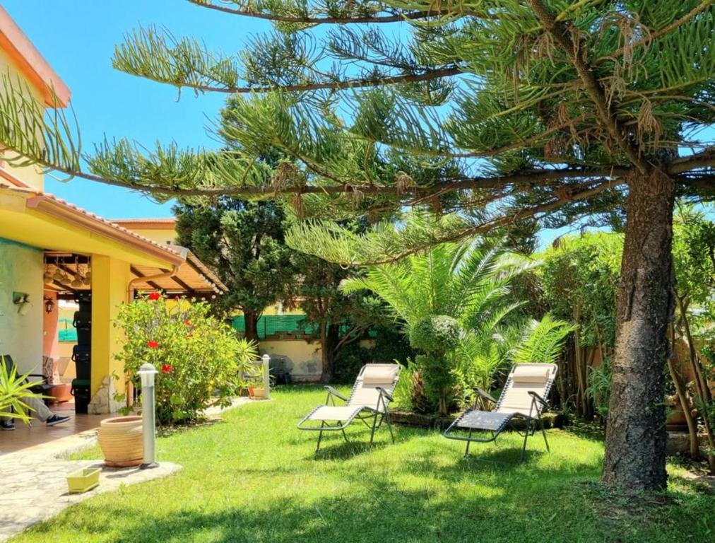 einen Hof mit zwei Stühlen und einem Kiefernwald in der Unterkunft lovely house with garden in La Maddalena