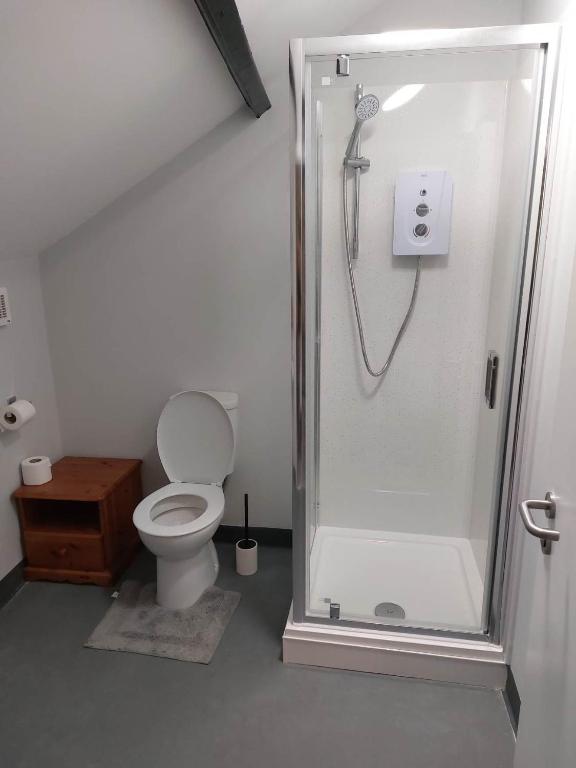 a bathroom with a shower and a toilet at EBBERLEY ARMS in Barnstaple