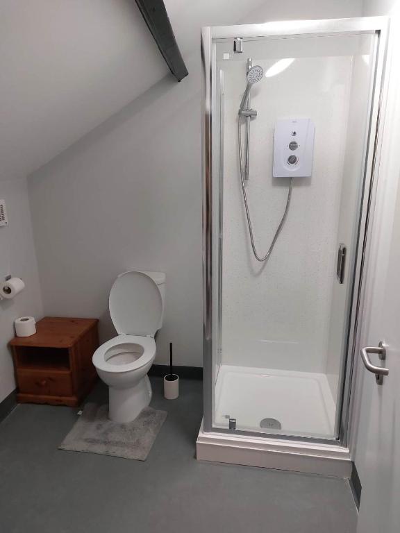 バーンスタプルにあるEBBERLEY ARMSのシャワーとトイレ付きのバスルーム