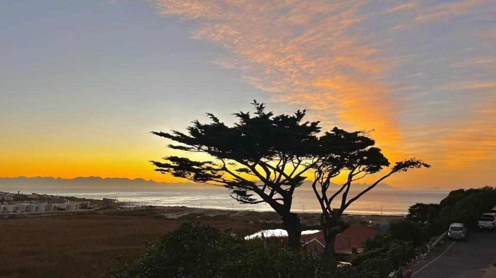 een boom op het strand met de zonsondergang op de achtergrond bij Glencairn Vista in Kaapstad