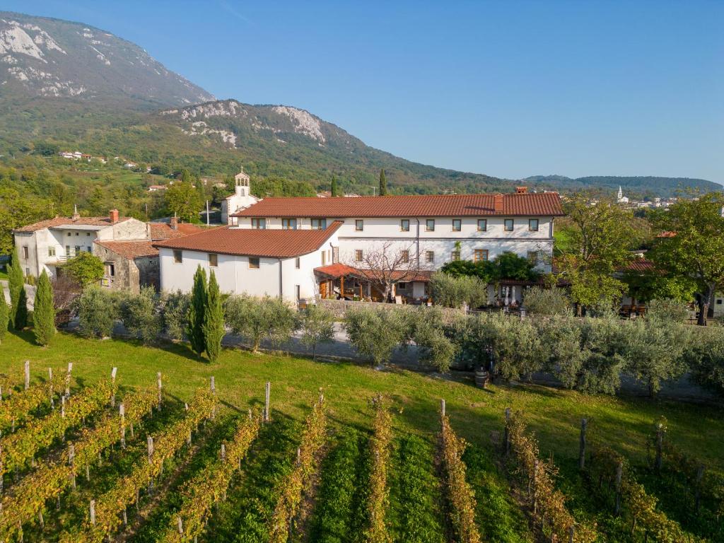 a large white building with a bunch of vines at Farm Stay Malovščevo in Vitovlje