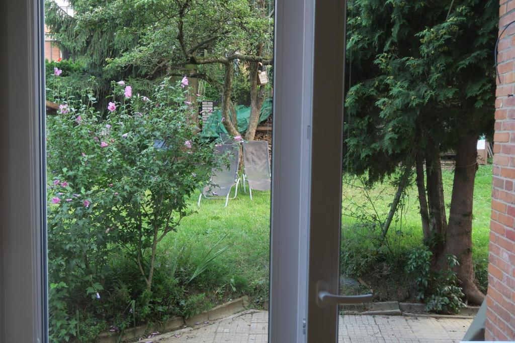 Zahrada ubytování EN Homestay with private top floor, 3 bedrooms, bathroom, kitchenette, host stays downstairs with a cat and 2 small dogs --- CS Soukromé horní patro, 3 ložnice, koupelna, vařič, balkon - Přízemí sdílené s hostitelem, kočkou a 2 malými psy