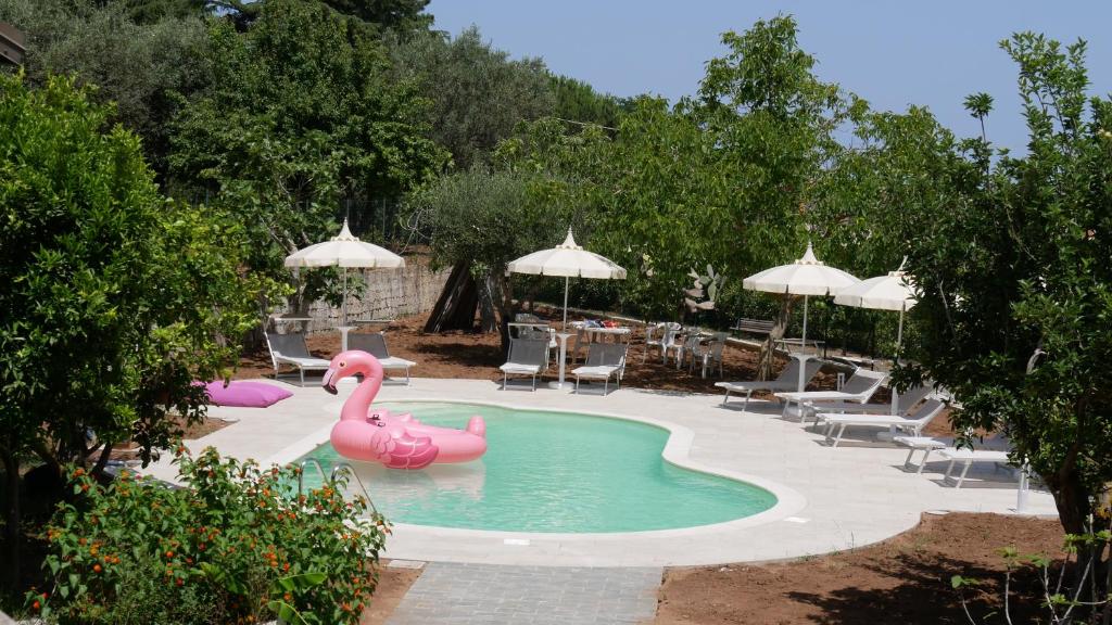 einen Pool mit einem rosa Schwan im Wasser in der Unterkunft B & B Korello in Gasponi