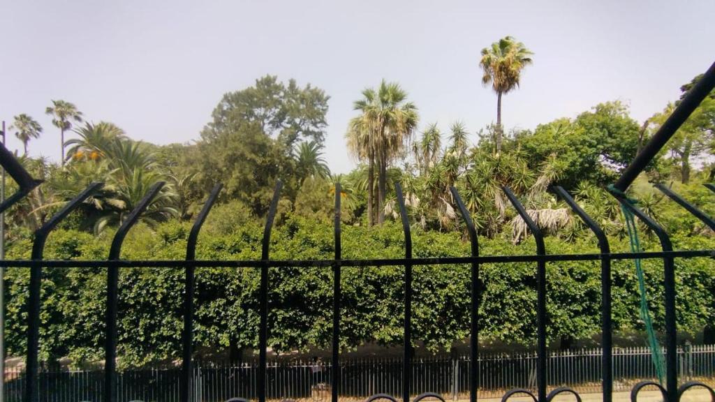 Rabat şehrindeki Habitación del jardín tesisine ait fotoğraf galerisinden bir görsel