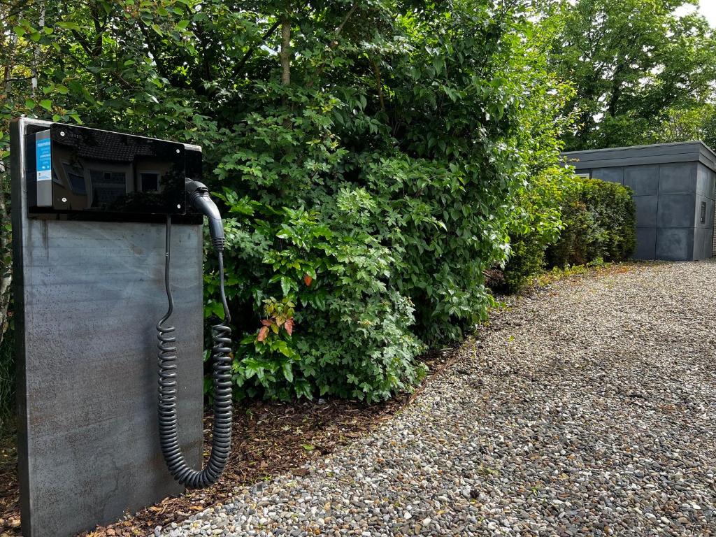 Zahrada ubytování Cube-House Ferienhaus in Franken