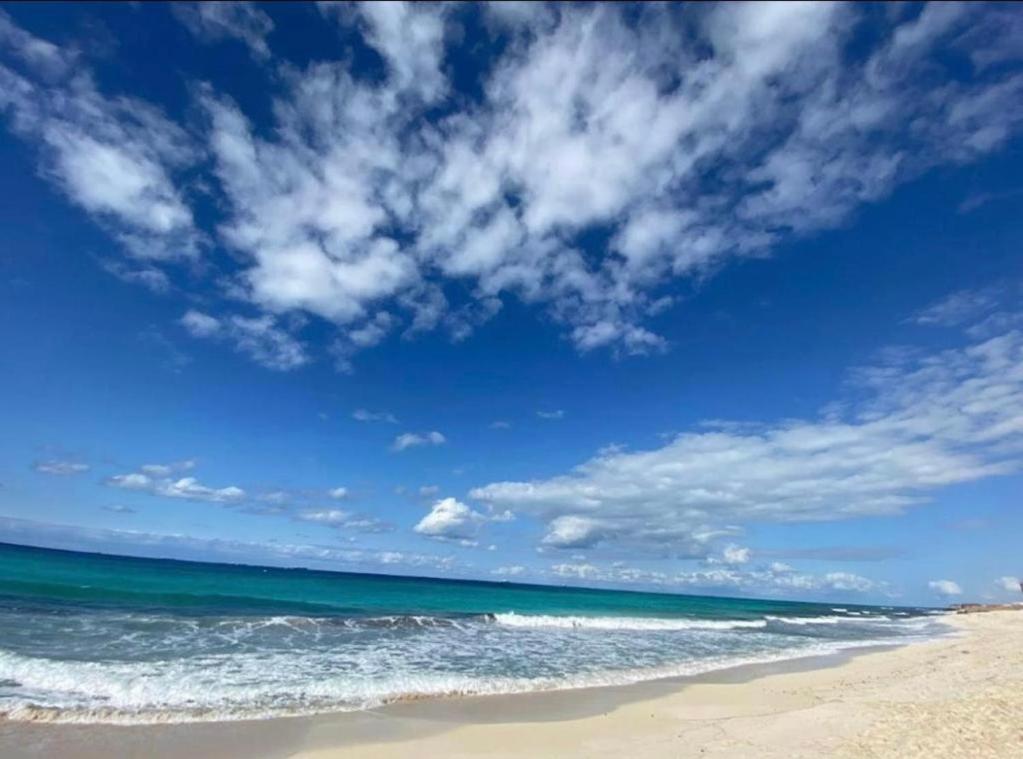 una spiaggia con cielo azzurro e oceano di فيلا 110 قريه سلاح المهندسين ad Alessandria d'Egitto