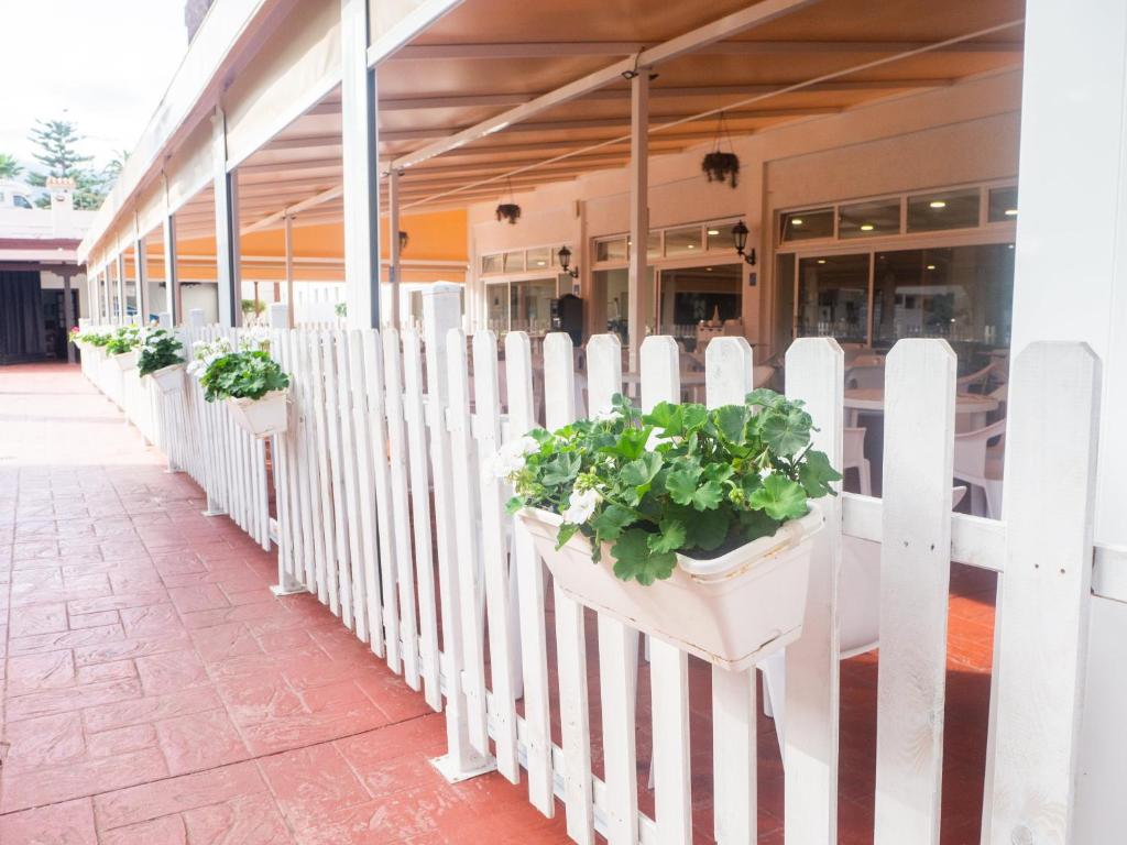 Naktsmītnes Complejo BLUESEA Puerto Resort compuesto por Hotel Canarife y Bonanza Palace Puerto de la Krusā fotogalerijas attēls