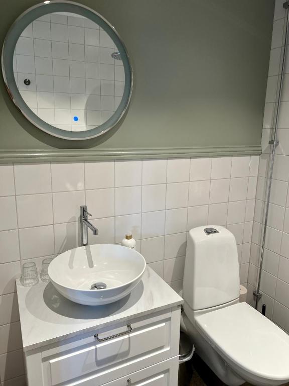 Koupelna v ubytování Två Skyttlar