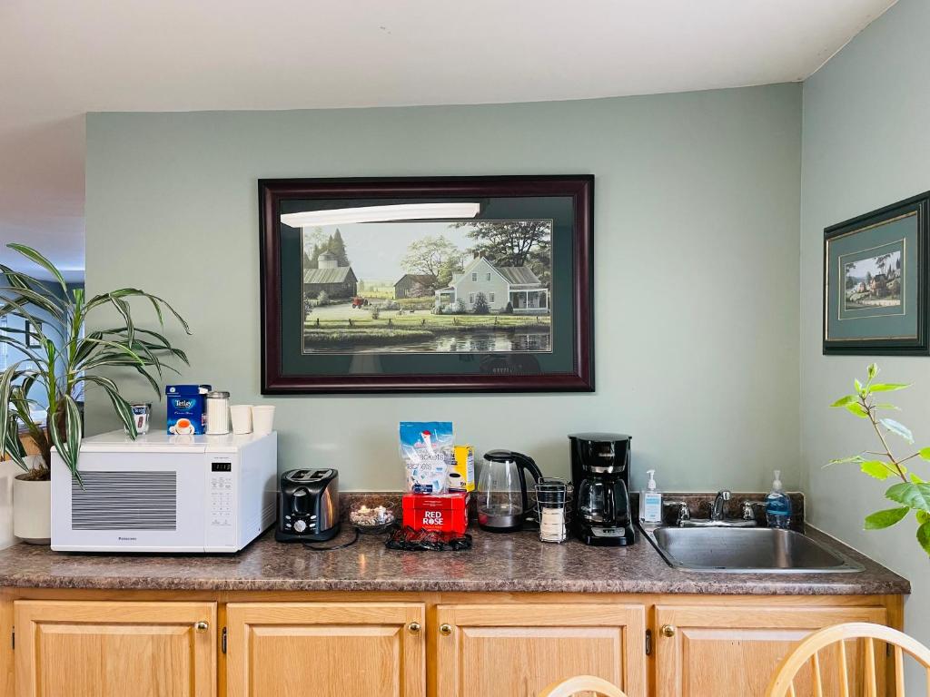 Kuchyň nebo kuchyňský kout v ubytování Scenic Motel Moncton
