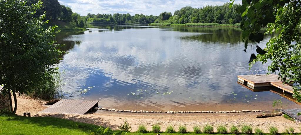a lake with a dock in the middle of it at Namelis po beržais in Marijampolė