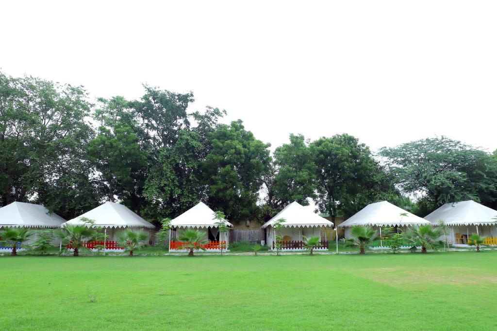 a group of white tents in a field with trees at Agra Camps and Resort in Agra