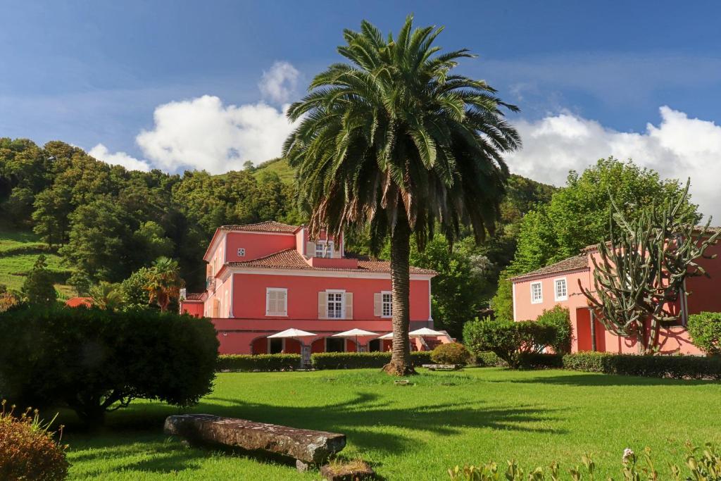 a palm tree in front of a house at Solar de Lalém in Maia