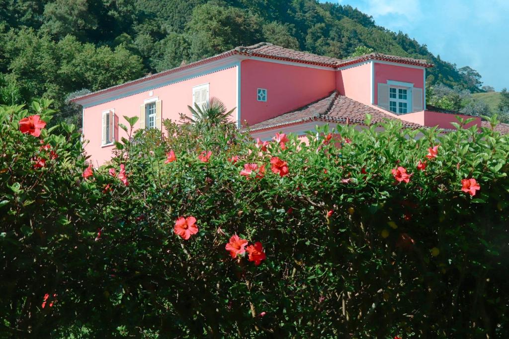 a pink house behind a bush with red flowers at Solar de Lalém in Maia