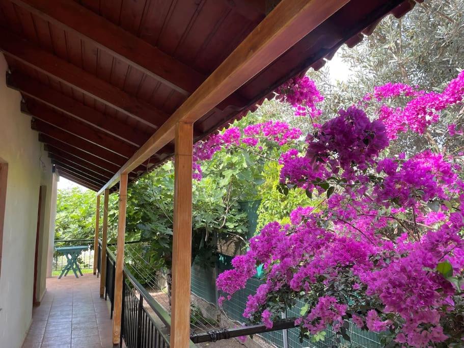 un porche con flores púrpuras y una valla en Ideal Cottage Holidays-Ιδανικές Εξοχικές Διακοπές, en Áyioi Apóstoloi