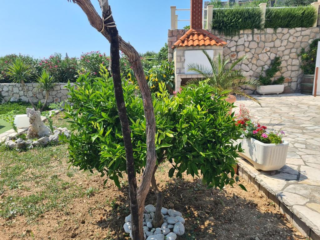 Vonkajšia záhrada v ubytovaní Villa sea oasis Ratac