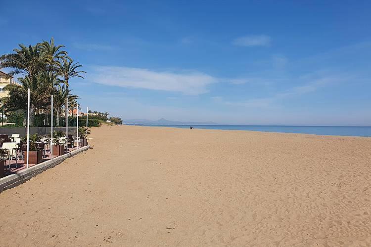 a sandy beach with palm trees and the ocean at Apartamentos La Goleta 1 in Denia