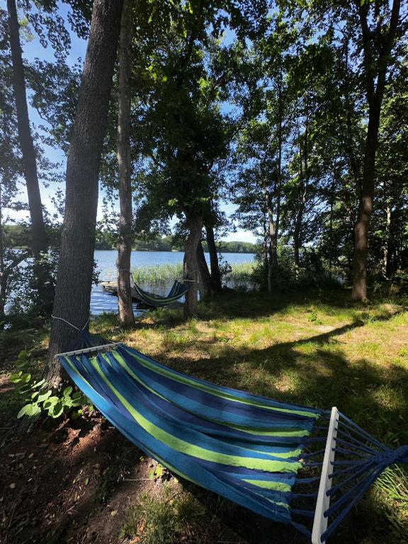 Hammocks hanging between trees by a lakeside.
