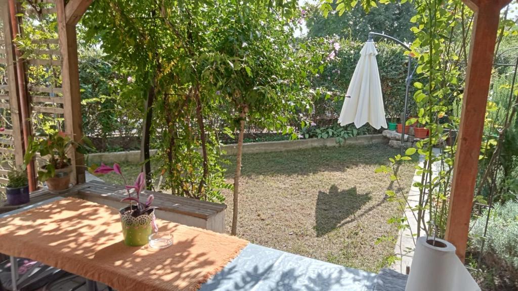 einen Tisch in einem Garten mit Sonnenschirm und Sonnenschirm in der Unterkunft Vila Georgeta in Techirghiol