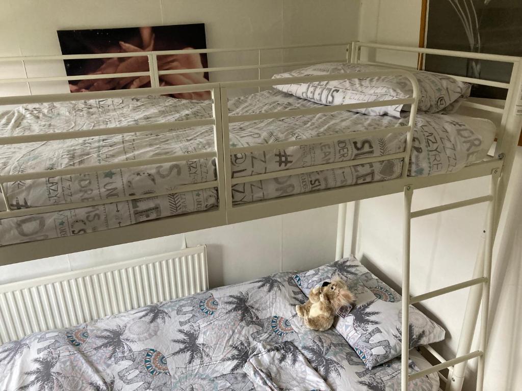 einem Hund, der in einem Zimmer mit Etagenbetten auf einem Bett liegt in der Unterkunft Quaint Edwardian Cottage in London