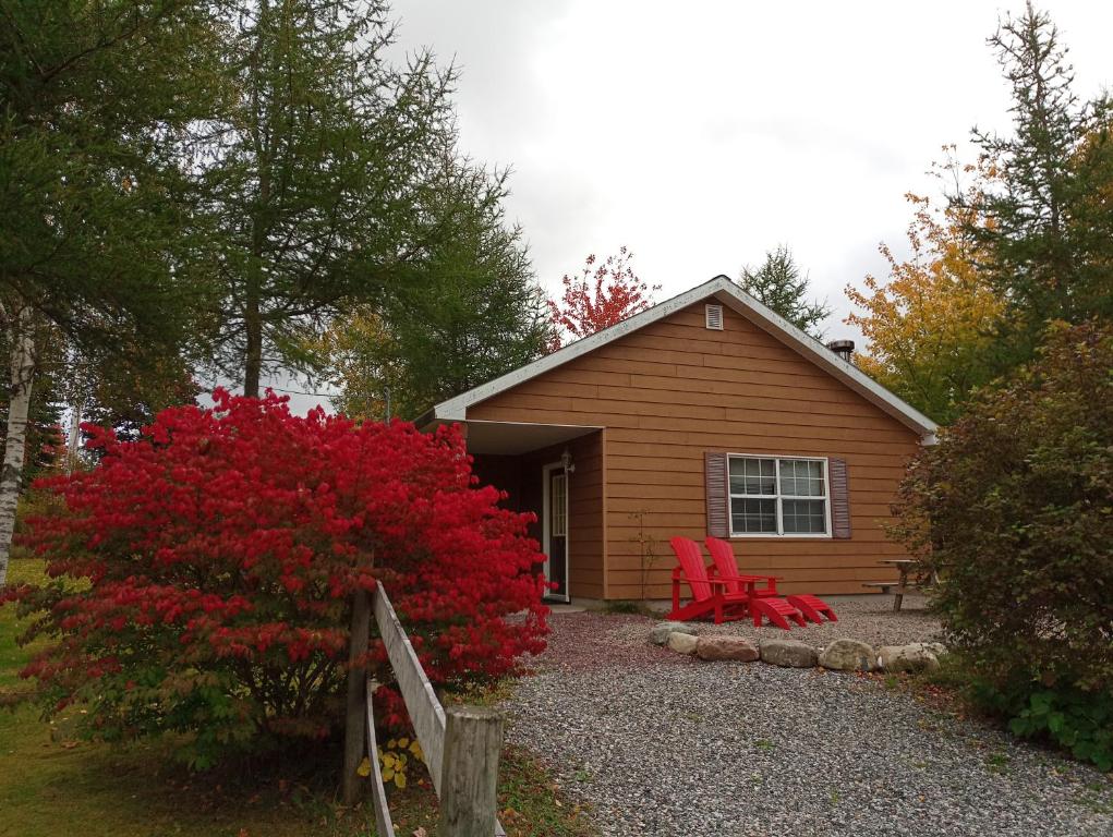 una pequeña cabaña con sillas rojas delante de ella en Mira River Cottages, en Marion Bridge