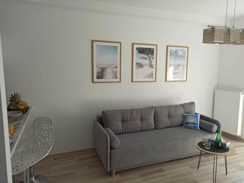 a living room with a gray couch and pictures on the wall at Apartament Bałtycka in Kołobrzeg