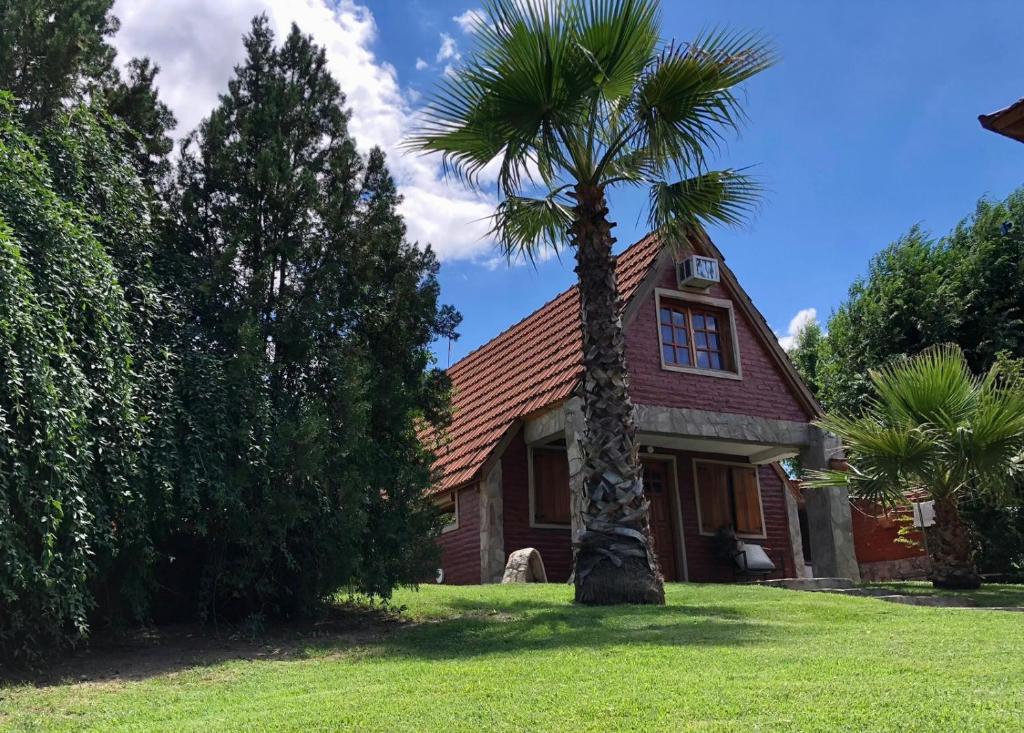 una palmera delante de una casa en Cabañas Luján, en Potrero de los Funes