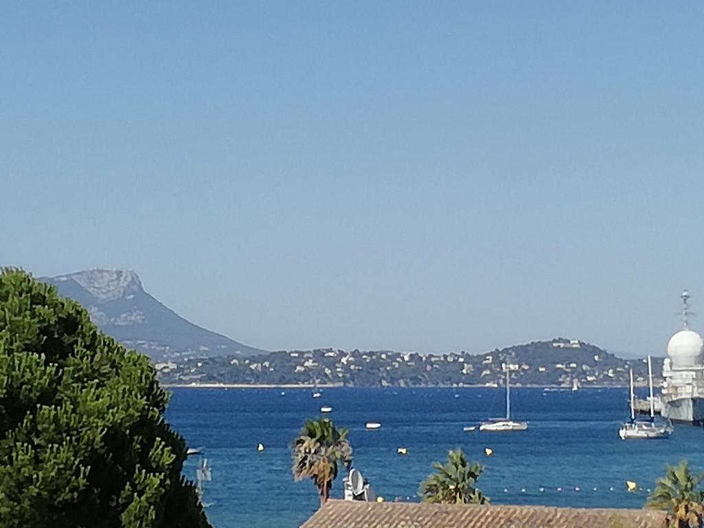 une vue d'un grand plan d'eau avec des bateaux dans l'établissement PETIT PARADIS - St MANDRIER VILLAGE, à Saint-Mandrier-sur-Mer