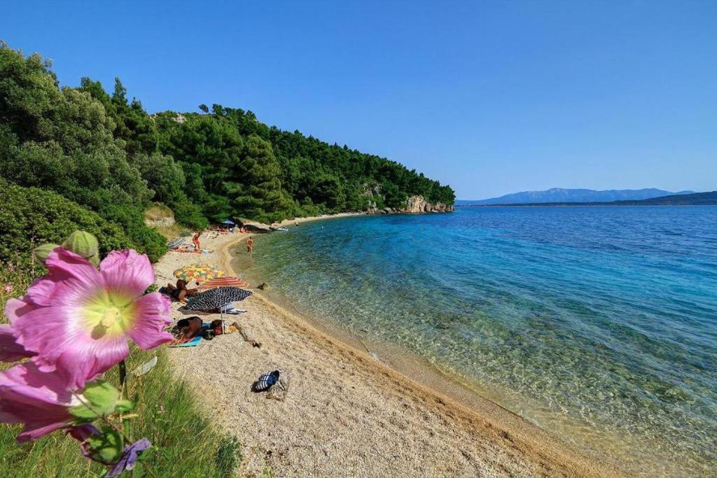 Φωτογραφία από το άλμπουμ του Mobile Homes Aurea Maris - Kamp Dole Živogošće σε Zivogosce