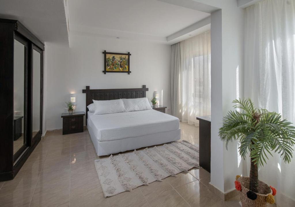 a bedroom with a white bed and a potted plant at Olives at Santa Monica in Marsa Matruh