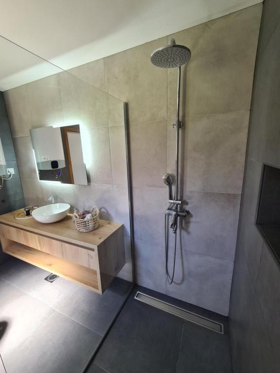 a bathroom with a shower and a sink at House_Zoi in Čelinac