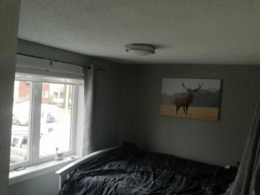 Schlafzimmer mit einem Bild eines Hirsches an der Wand in der Unterkunft BEACHFRONT Inn in North Bay