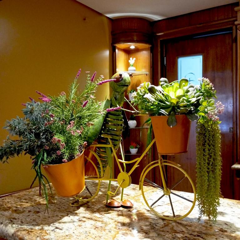 Zahrada ubytování Hotel Bristol Asuncion