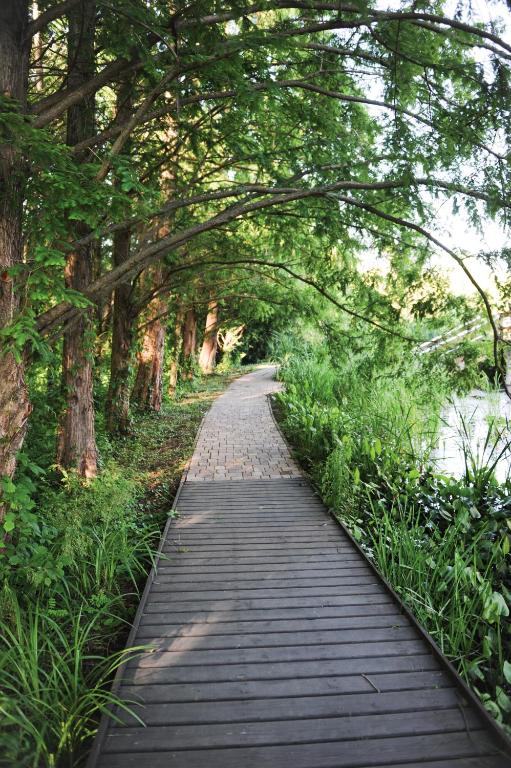 Hotel Spa Hévíz - Resim 33