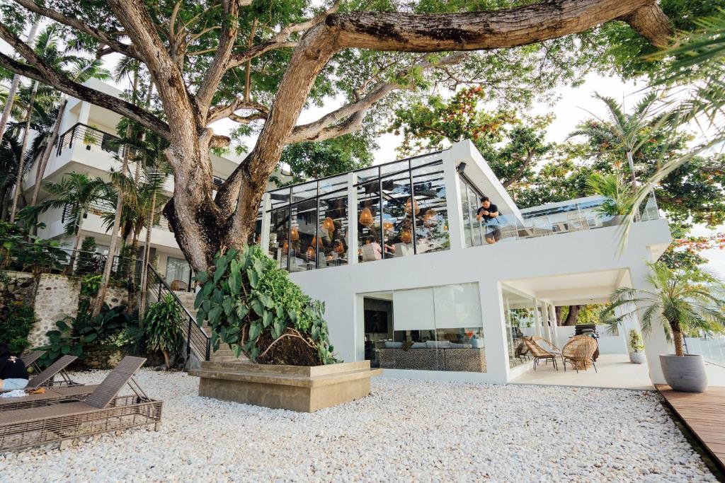 uma casa na praia com uma árvore em Solitude Acacia Resort em Mabini