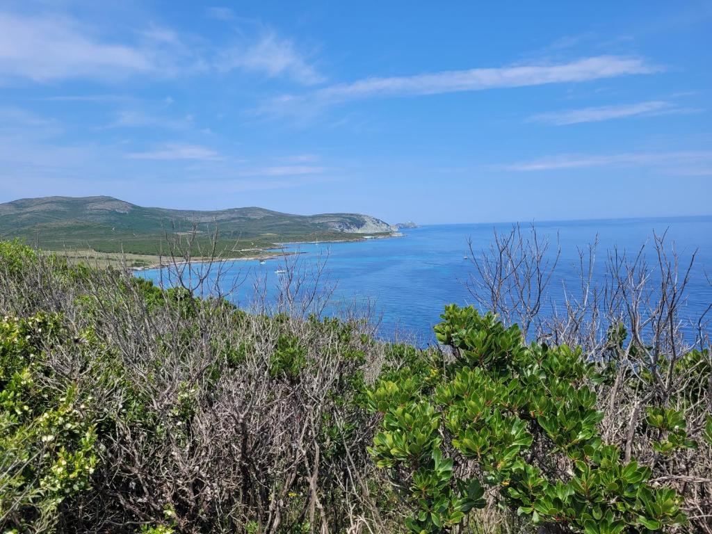 - une vue sur l'océan depuis une colline dans l'établissement Studio LA MOUTONNE tt équipé 20 m2 10mn plages- hyeres - TRES CALME-, à La Crau