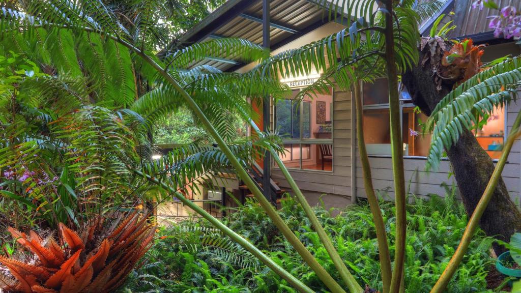 Chambers Wildlife Rainforest Lodges في Lake Eacham: منزل أمامه مجموعة من النباتات