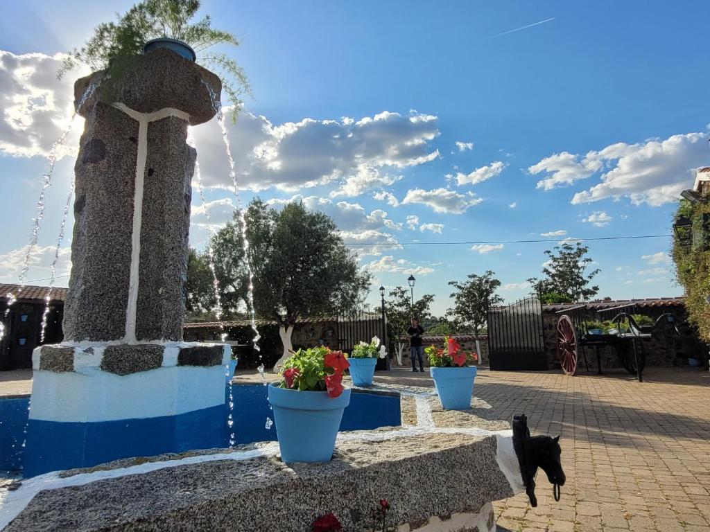 un perro caminando junto a una fuente con flores en cubos en Complejo Rural El Soldado, en Villanueva del Duque