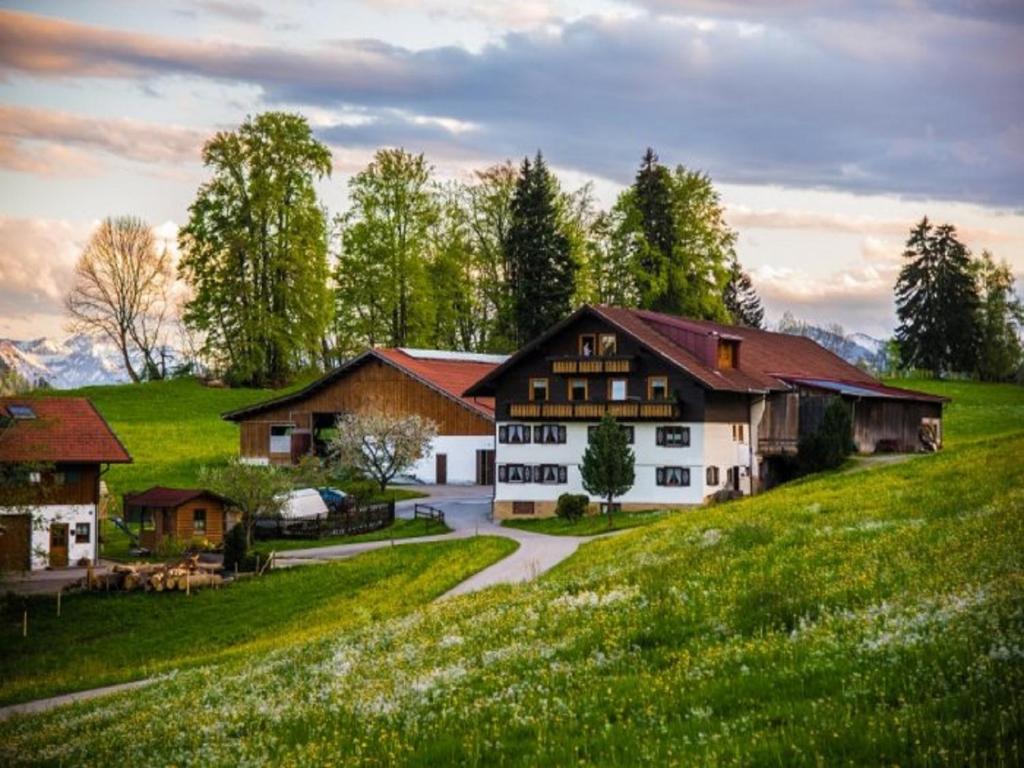 una casa en una colina con un campo verde en Ferienhof Nigg en Rettenberg