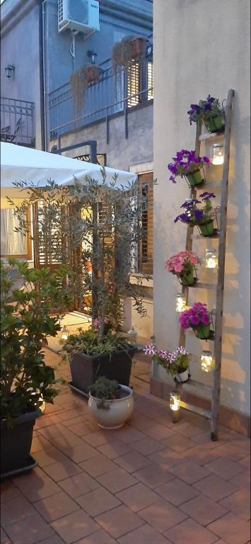 A garden outside Il Borghetto di San Giuseppe EtnaRooms&Apartments