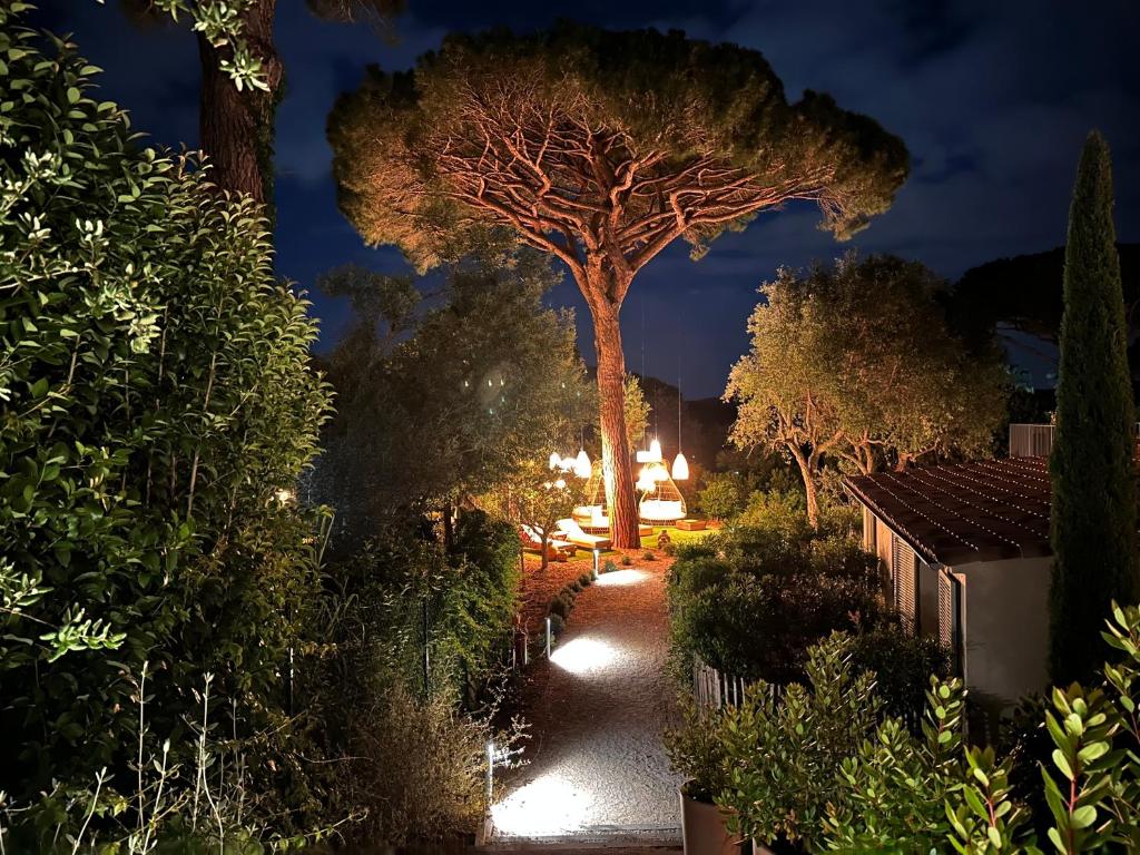 a garden at night with a tree and lights at Hôtel L'Escalet in Ramatuelle