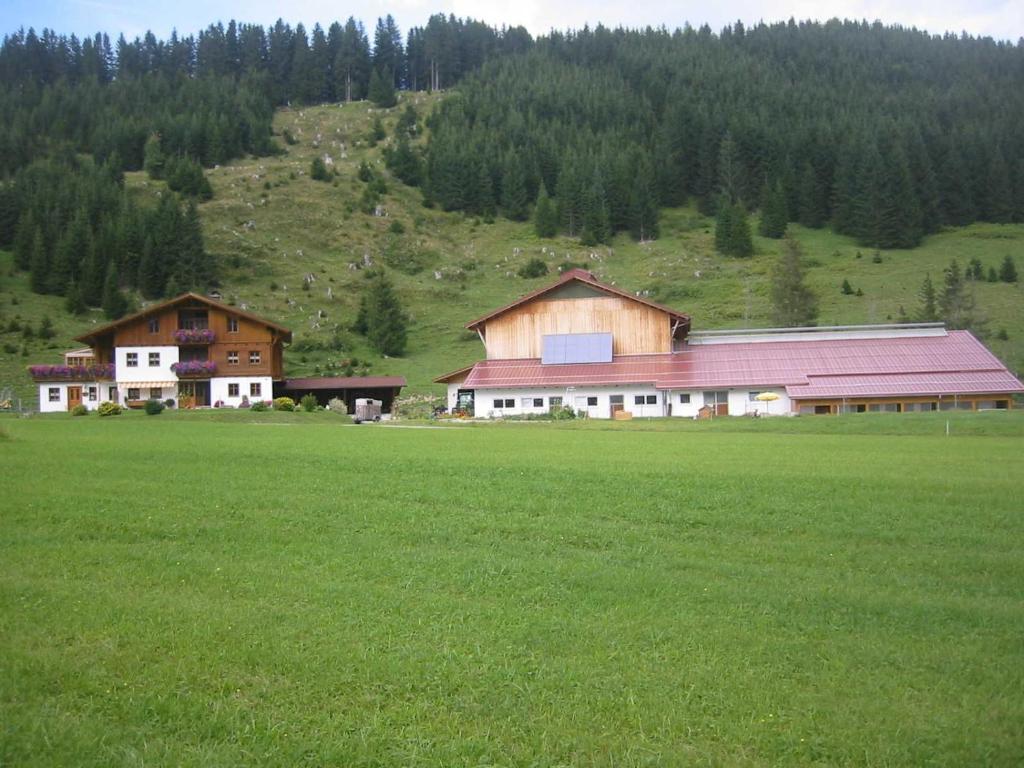 Příroda nedaleko farmy