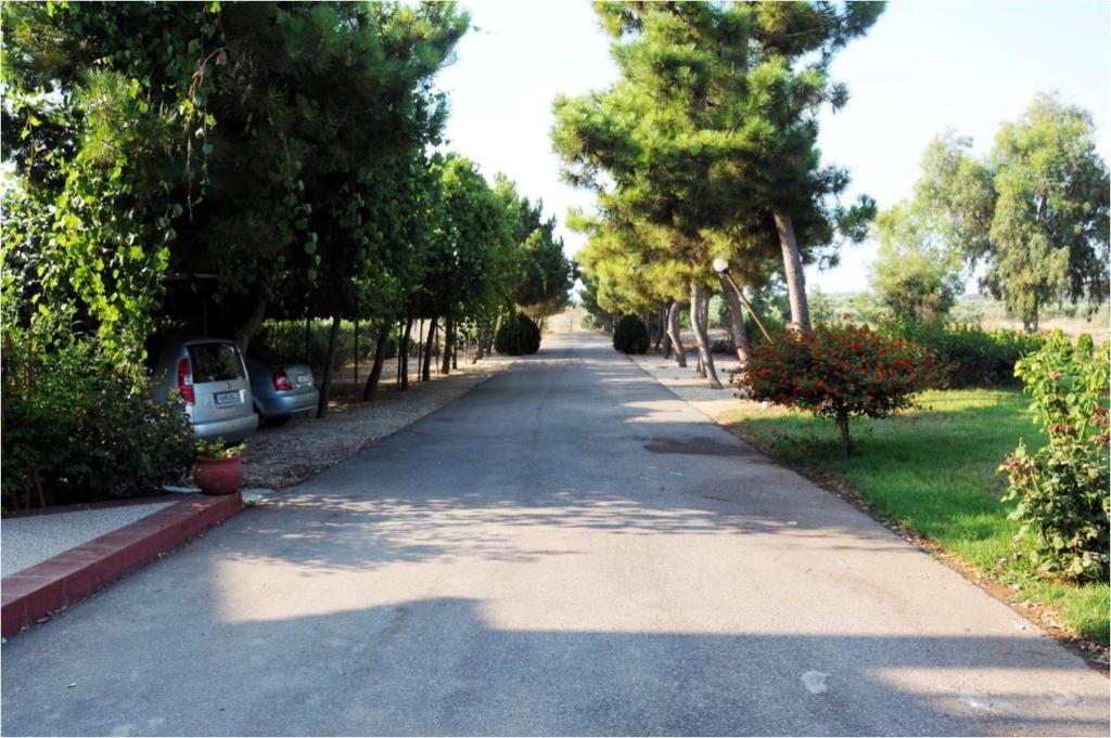 Zahrada ubytování Kipriotis Hotel