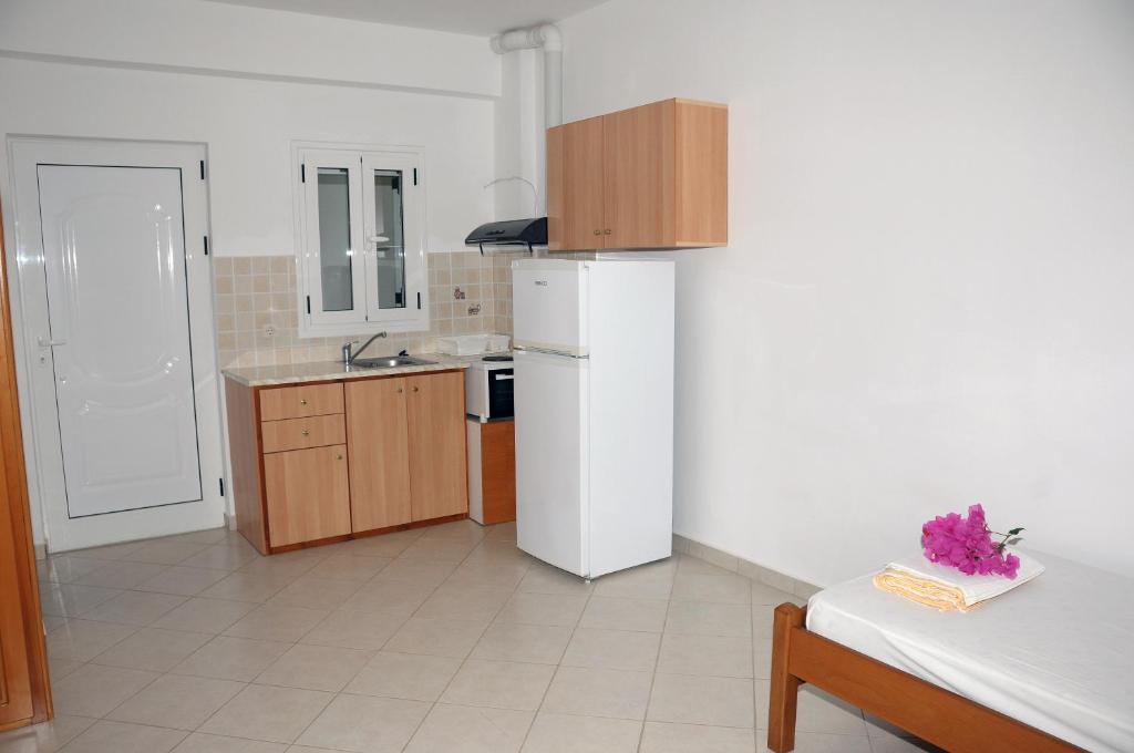 Kuchyň nebo kuchyňský kout v ubytování Kipriotis Hotel