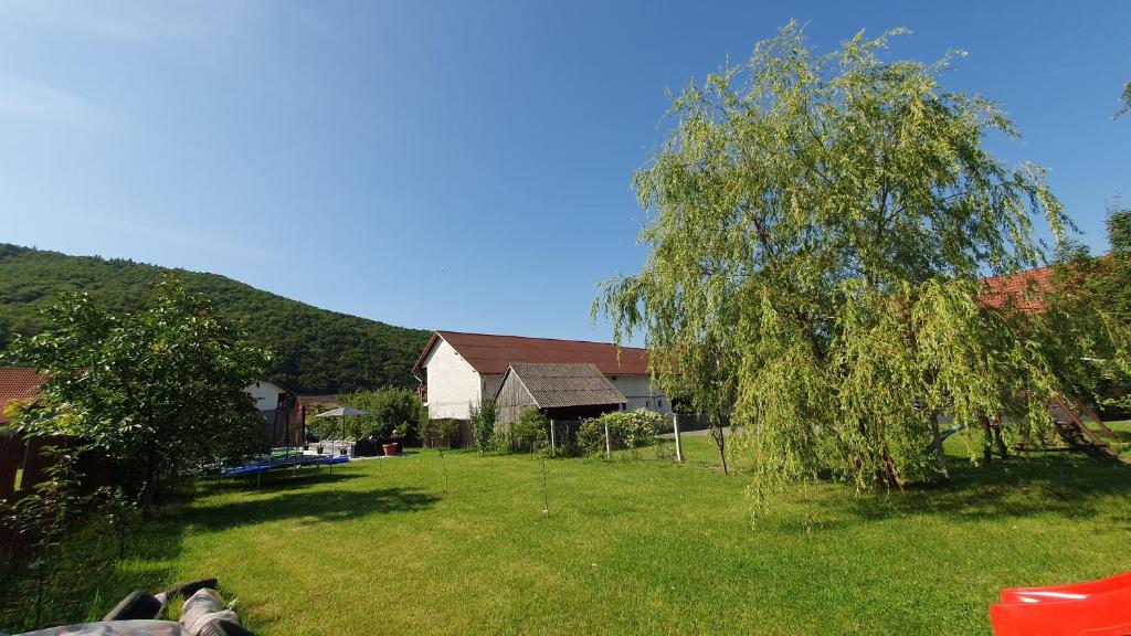 Příroda nedaleko penzionu
