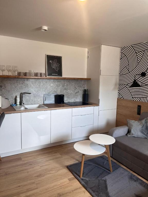 Apartamenty Skórzewo-Lotnisko MTP Tor Poznań