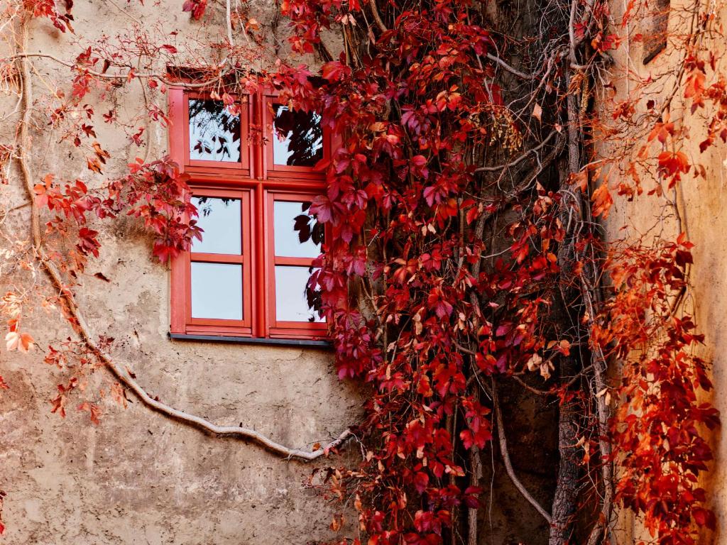 Fotografie z fotogalerie ubytování TAUROA Schloss Gabelhofen v destinaci Fohnsdorf
