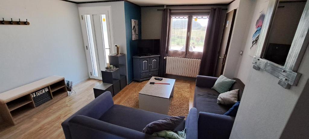 a living room with two blue couches and a tv at Appartement "Les Câlins" in Ney